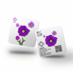 Emasin Rundform Goldbarren 0,01 Gramm Flower Series Purple
